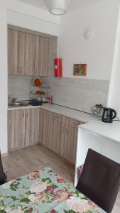 カザンラクにあるАпартамент за гости Казанлъкの木製のキャビネットとカウンタートップを備えたキッチン