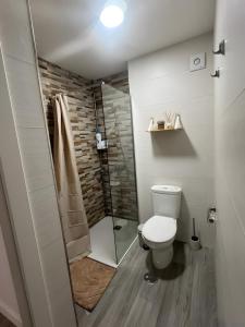a bathroom with a toilet and a walk in shower at Grey House in Huelva