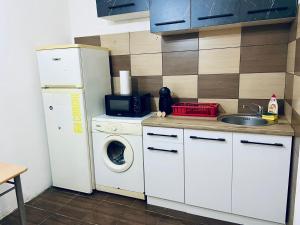 a small kitchen with a washing machine and a sink at Stejarului App in Floreşti