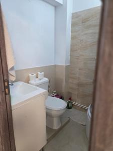 a bathroom with a white toilet and a sink at Mary Magnolia in Craiova