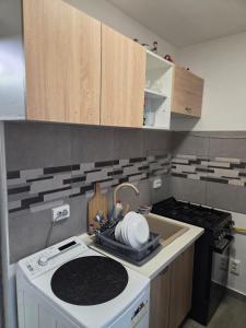 a small kitchen with a stove and a sink at Mary Magnolia in Craiova +5 photos
