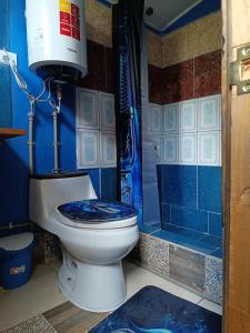 a blue bathroom with a toilet and a shower at DOMO Ecológico in Curacautín +42 photos