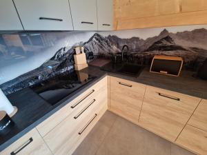 Kuchyň nebo kuchyňský kout v ubytování Domki góralskie Sabałecka II