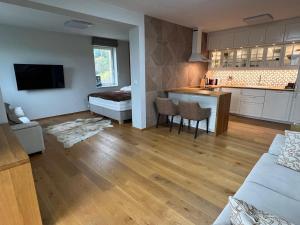 Η κουζίνα ή μικρή κουζίνα στο Bright apartment with balcony and view of Medvědín +6 φωτογραφίες