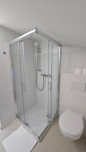 a bathroom with a shower and a toilet at Apartments Kompara in Ajdovščina