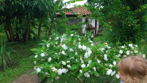 a child looking at white flowers in a garden at Finca Mystica in Ometepe