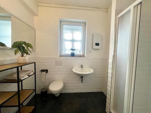 a bathroom with a sink and a toilet and a window at Industrial feeling in a quiet location in Leipzig