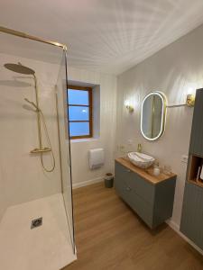a bathroom with a shower and a sink and a mirror at L'étoile des remparts in Lagrasse