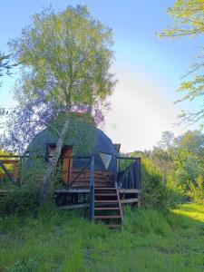 a round house with a tree in a field at DOMO Ecológico in Curacautín