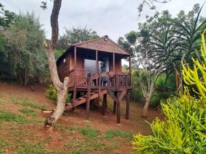a wooden cabin in the middle of a forest at Entendeni Lodge SelfCatering in Inanda