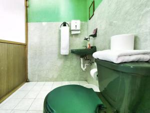 a bathroom with a green toilet and a sink at Nice bedroom at 5 min Mexico City Airport T1 & T2 in Mexico City