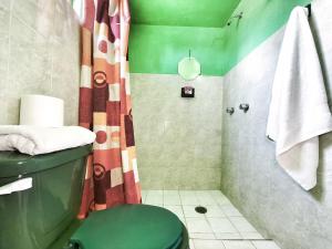 a green bathroom with a toilet and a shower at Nice bedroom at 5 min Mexico City Airport T1 & T2 in Mexico City