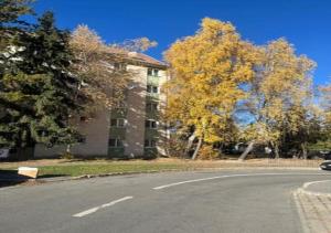 una strada vuota di fronte a un edificio di Boulevard Serenity Apartment a Miercurea-Ciuc
