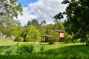 een huis midden in een veld met bomen bij Casa Maqui Salto del Laja in Salto del Laja