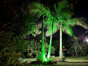 Κήπος έξω από το Encanto do Mar Praia do Rosa +42 φωτογραφίες