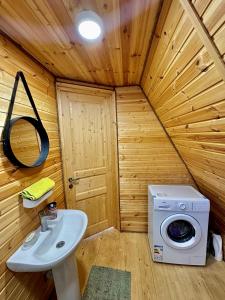 une salle de bain avec un lavabo et une machine à laver dans l'établissement Cottage in Natakhtari, à Natakhtari 8 autres photos