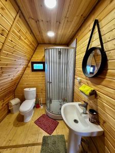La salle de bains est pourvue de toilettes et d'un lavabo dans une cabane en rondins. dans l'établissement Cottage in Natakhtari, à Natakhtari