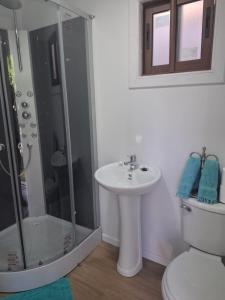 a bathroom with a sink and a shower and a toilet at Hostal Boutique "Maryluz" in Coihaique