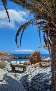 a bench on a rocky beach with a palm tree at Casa Alba in La Mareta