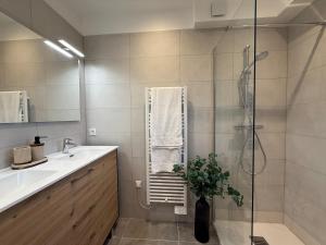 a bathroom with a shower and a sink at Modern house 4 bedrooms in Tassin-la-Demi-Lune