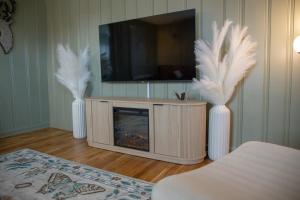 TV a/nebo společenská místnost v ubytování Downtown Delight King Beds Comfort & the Greenway!