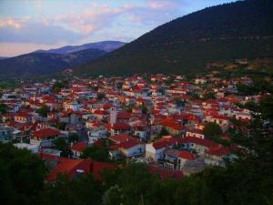 a view of a town with red roofs at ElaPhos HOUSE in Kiriákion