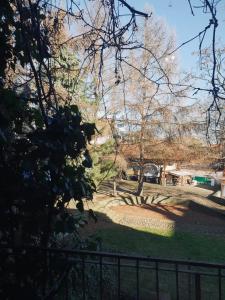 Κήπος έξω από το Petite Charlotte +7 φωτογραφίες