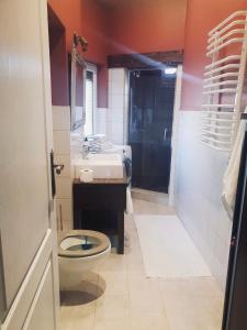 a bathroom with a toilet and a sink at Petite Charlotte in Tarnów +10 photos