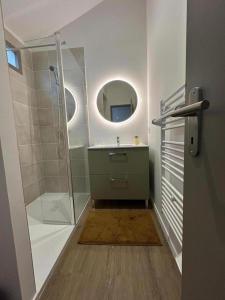 Escapade grenadoise في Larrivière: حمام مع دش ومغسلة مع مرآة