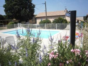 a swimming pool with chairs and flowers in front of it at A lines in Montsoué +5 photos