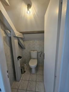 ein kleines Bad mit WC in einem Zimmer in der Unterkunft Charming 3-room apartment in Thionville