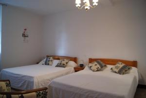 Serreslous-et-ArribansにあるMaison jeanbordeのベッドが2つとシャンデリアのある部屋