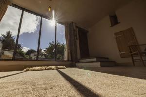 KellyにあるThe Shipponの空の景色を望む大きな窓が備わる客室です。