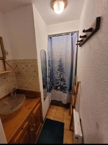 a bathroom with a sink and a shower with a snow covered window at Le Flocon, Joli Cocon des Neiges en Rez de Jardin - Les Rousses - Draps inclus & Parking gratuit in Les Rousses