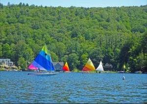 Φυσικό τοπίο κοντά σε αυτό το ξενοδοχείο