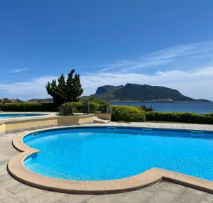 a swimming pool with a view of the water at Luxury apartment Ginestra sea view with common swimming pool just 50 mt from the beach in Golfo Aranci