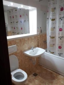 a bathroom with a toilet and a sink and a shower curtain at Promenada Mall Apartment4you in Craiova