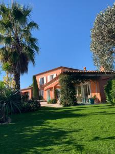 a house with a palm tree and a green lawn at Villa la Casa in Montauroux