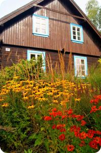 een huis met een bos bloemen ervoor bij SoBądź - Po prostu bądź in Sobącz