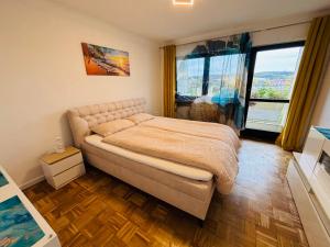 Spacious 72 sqm Moselblick apartment & top connection في ترير: غرفة نوم بها سرير ونافذة كبيرة