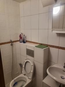 a small bathroom with a toilet and a sink at Small apartment suitable for craftsmen in Westerburg