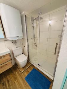 Spacious 72 sqm Moselblick apartment & top connection في ترير: حمام مع مرحاض ودش +56 صورة