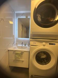 a bathroom with a washing machine and a sink at Ary & Pablo Airport Stay in Keflavík
