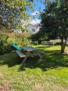 een picknicktafel in het gras onder een boom bij Gîte "Au Gré de l'Adour" in Aire-sur-lʼAdour +10 foto's