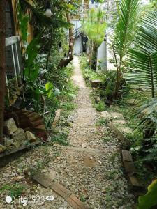 a stone path in a garden with plants at Dalat inn homestay hẻm 48 hà huy tập in Teurnoum