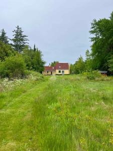 un champ d'herbe avec une maison en arrière-plan dans l'établissement Rummeligt Feriehus På Stor Naturgrund, à Langedeby