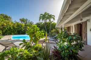 a house with a swimming pool and some plants at Villa Secrète in Saint-François