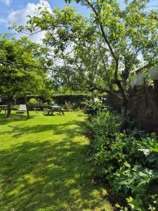 een groene tuin met een picknicktafel en een boom bij Gîte "Au Gré de l'Adour" in Aire-sur-lʼAdour