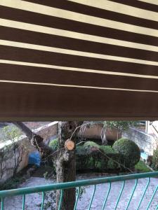 Fotografie z fotogalerie ubytování Daniela v destinaci Marino