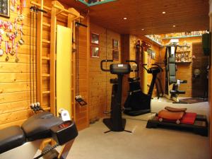 a gym with several exercise equipment in a room at Apartments in Dienten am Hochkönig 225 in Dienten am Hochkönig